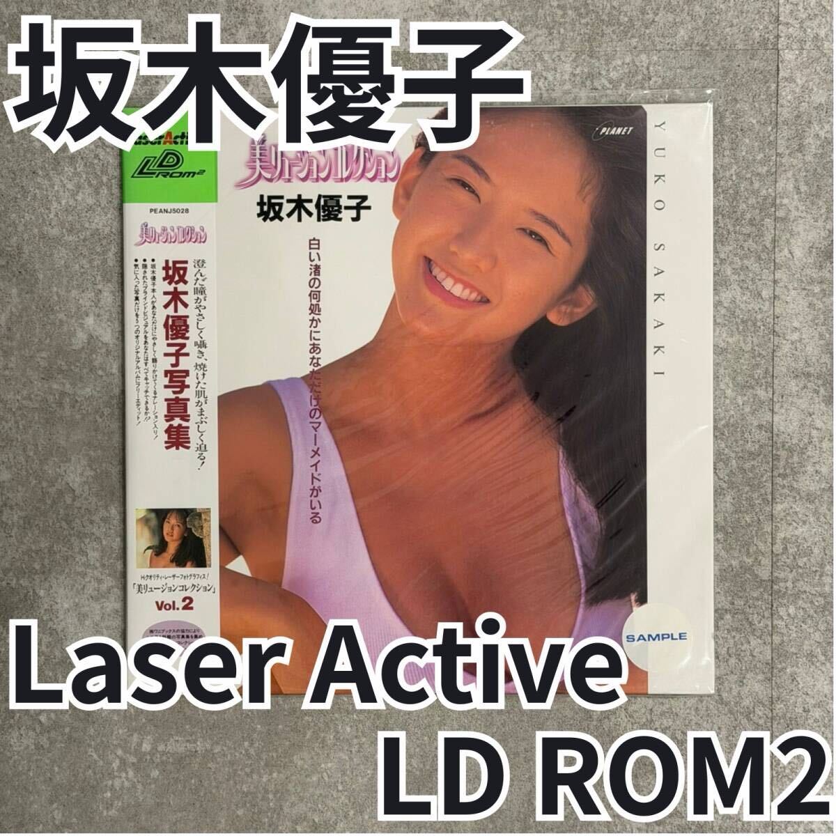 gL153t [訳あり] MD メガLD 美リュージョンコレクション 渡辺美奈代 
