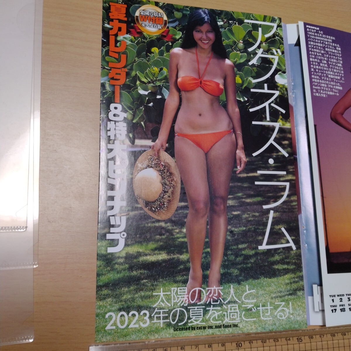 ☆アグネス・ラム「ビキニ水着 カレンダー」グラビア切り抜き。の落札
