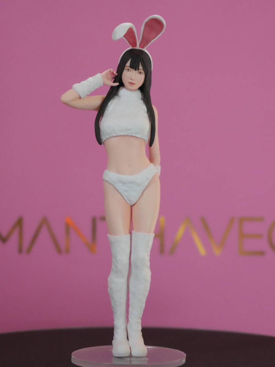 未使用に近い】ハセガワ 1/12スケールリアルフィギュアコレクション