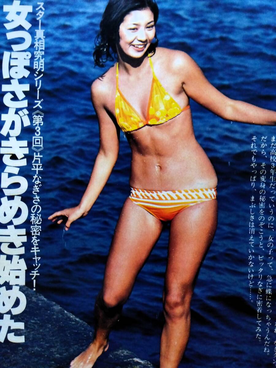 10242 岡田奈々 両面ピンナップ+切り抜き5p 水着 ビキニ 昭和 【公式通販】