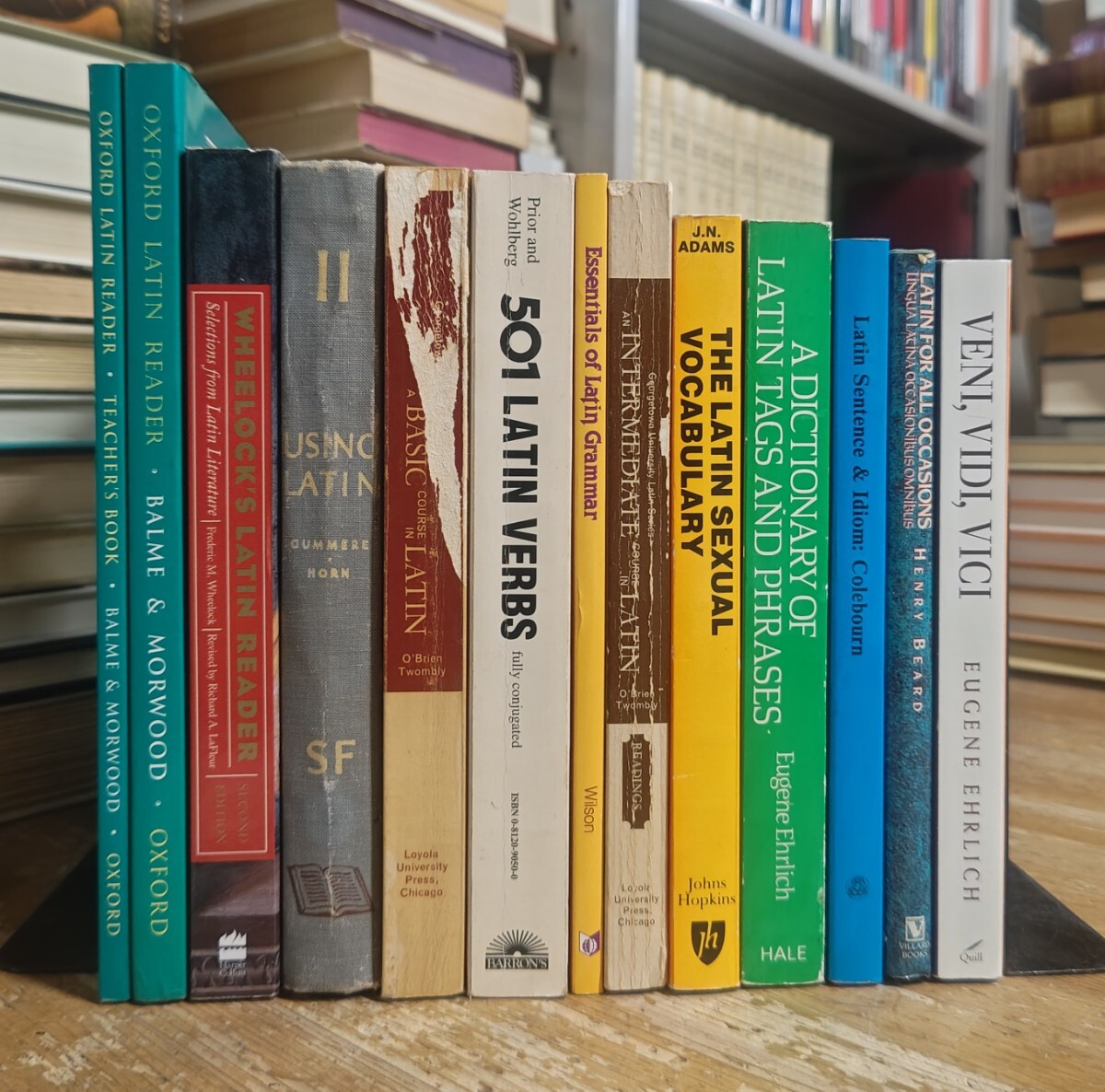 52966/オールカラー6ヶ国語 大図典 THE NEW VISUAL DICTIONARY 函入 
