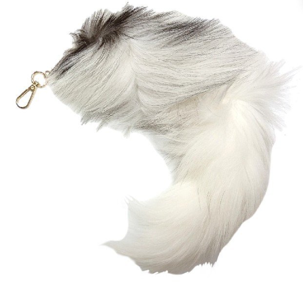 中古】ホワイトキツネ 北極キツネ 剥製 動物 標本 珍獣 はくせいの落札