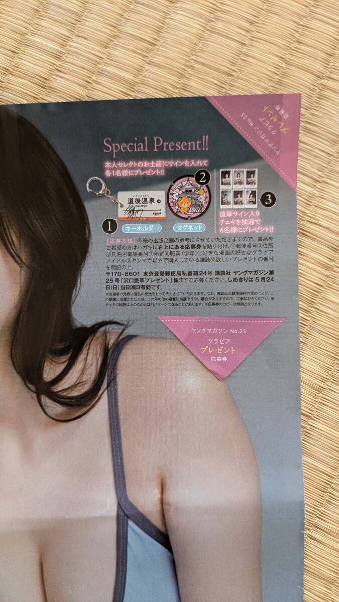 新澤菜央 直筆サインチェキ 抽プレ 水着 新品】☆新澤菜央(NMB48) 直筆サイン入り水着チェキ 某雑誌抽プレ当選