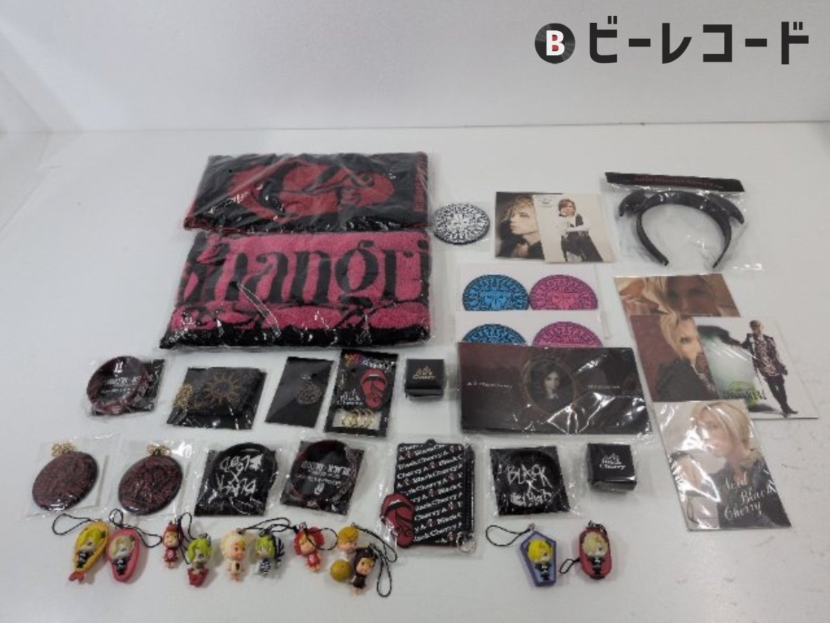 格安即決☆Acid Black Cherry/写真集『BLACKBOX/BLACK BOX』初版/帯有