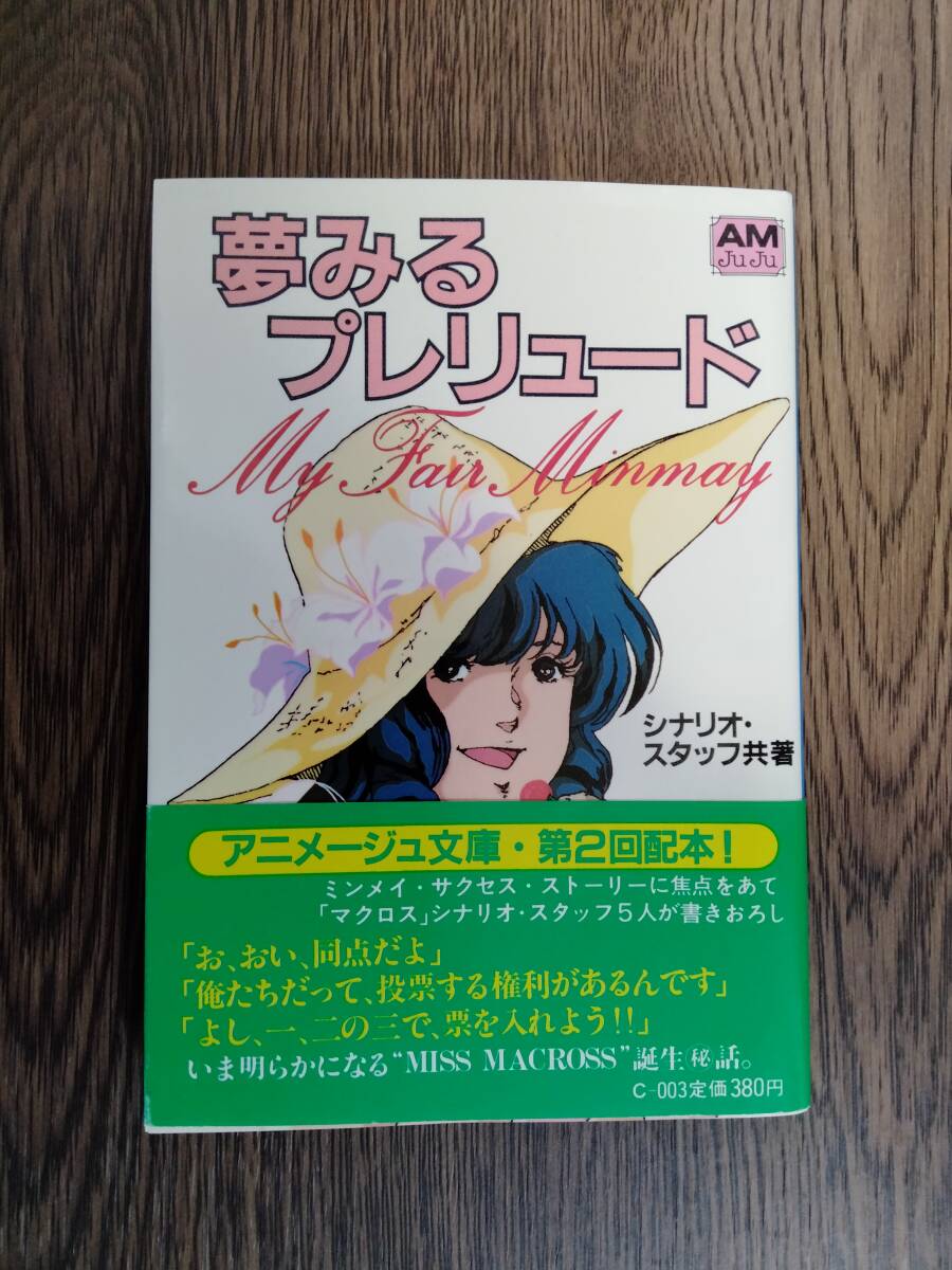 中古】マクロス リン・ミンメイ セル画 美樹本晴彦原画 版権セル画の