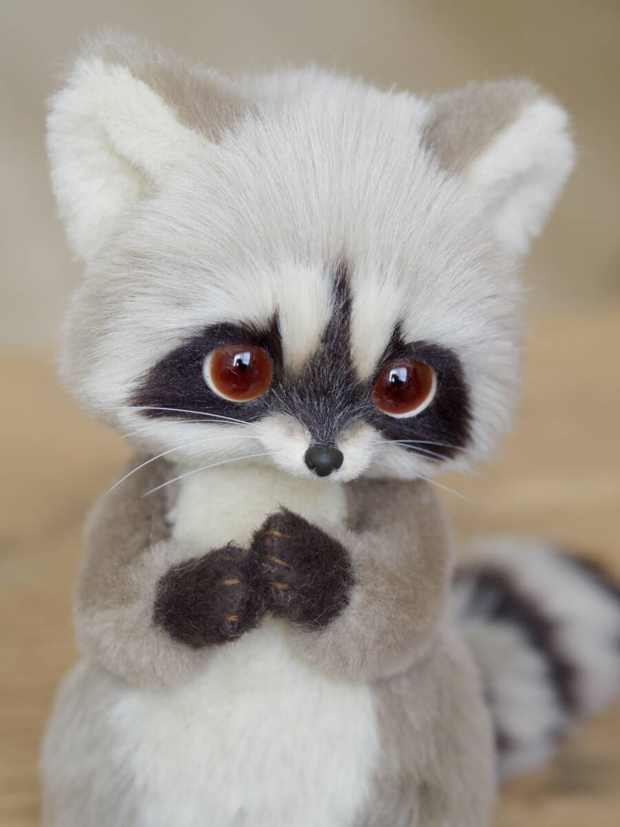 中古】昭和レトロ アライグマ ぬいぐるみ の落札情報詳細 - Yahoo