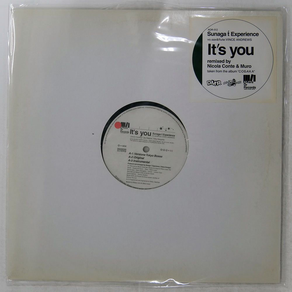 Sunaga t Experience - It's you Remixes plus / CD World Standard
