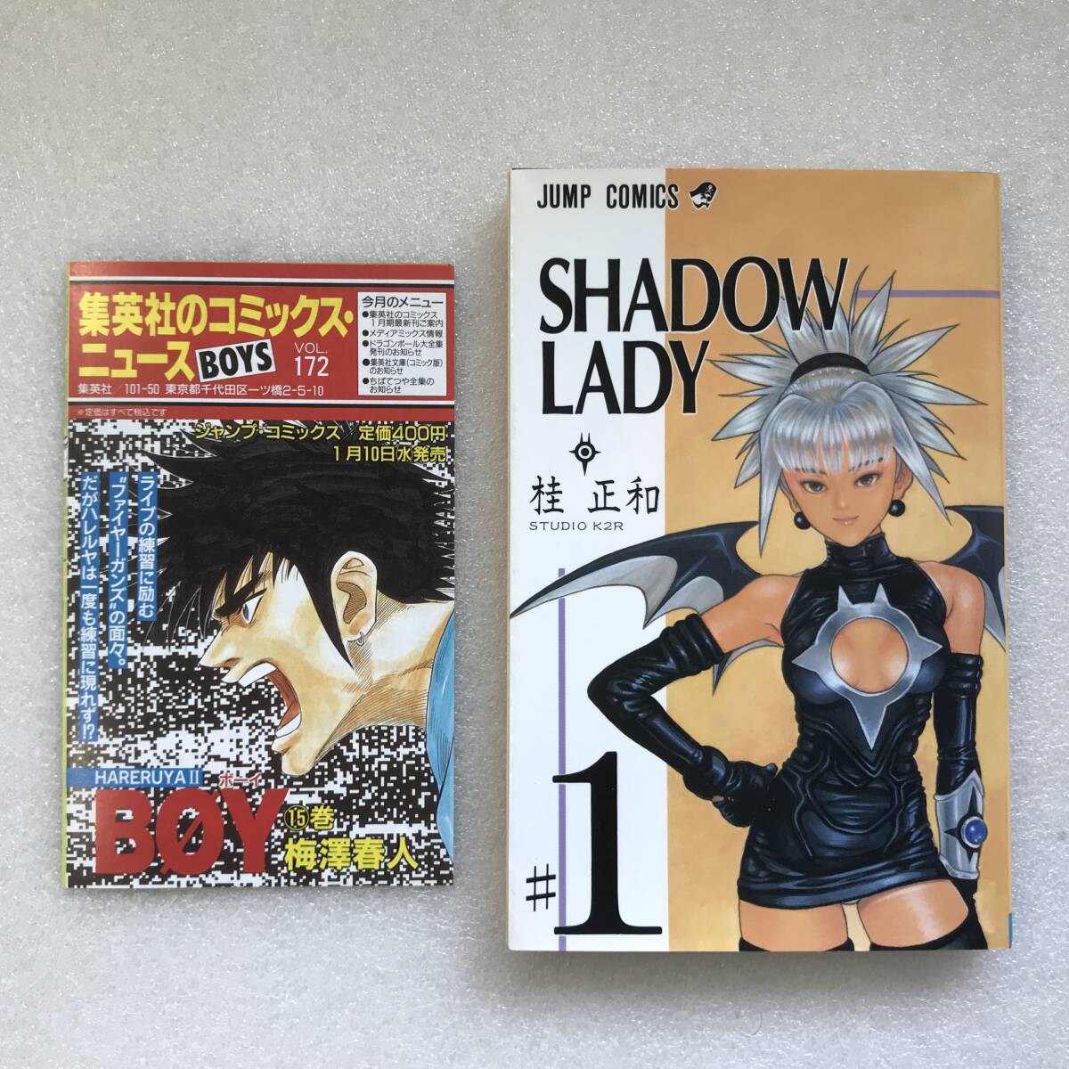 新品】シャドウレディ 桂 正和 少年ジャンプ 懸賞品 ☆同時落札大歓迎