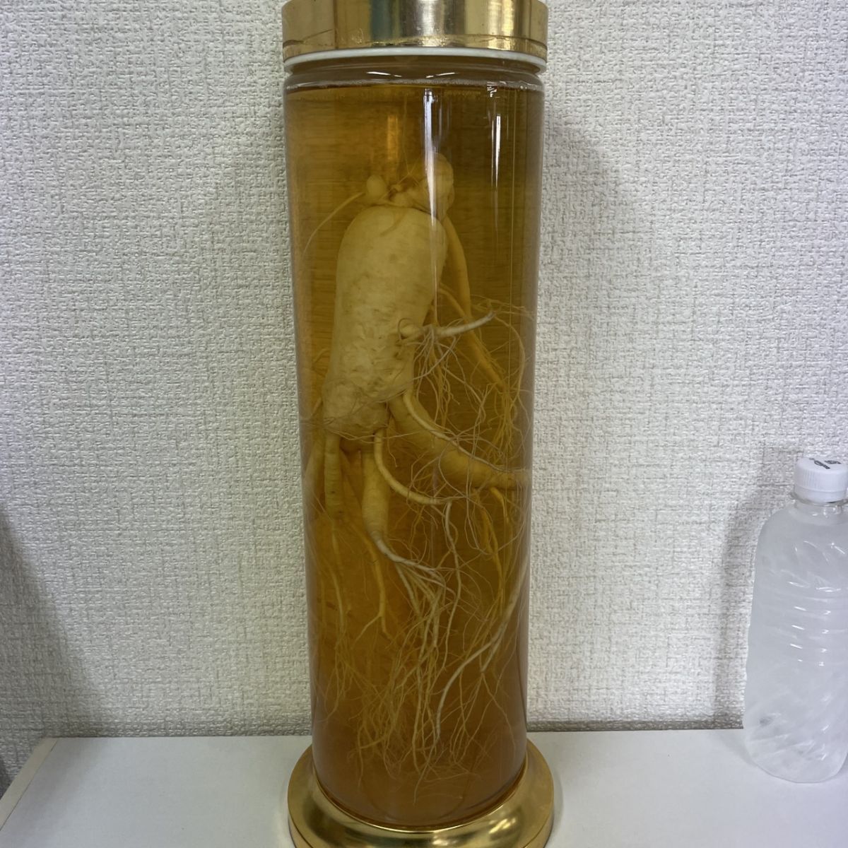 中古】【亀】 朝鮮人参の瓶詰め 高麗人参 漢方薬 置物 韓国雑貨の落札