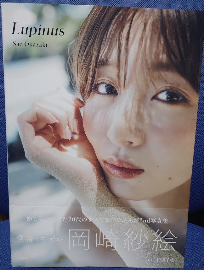 新品】岡崎紗絵 直筆サイン入り写真 抽プレz17133の落札情報詳細