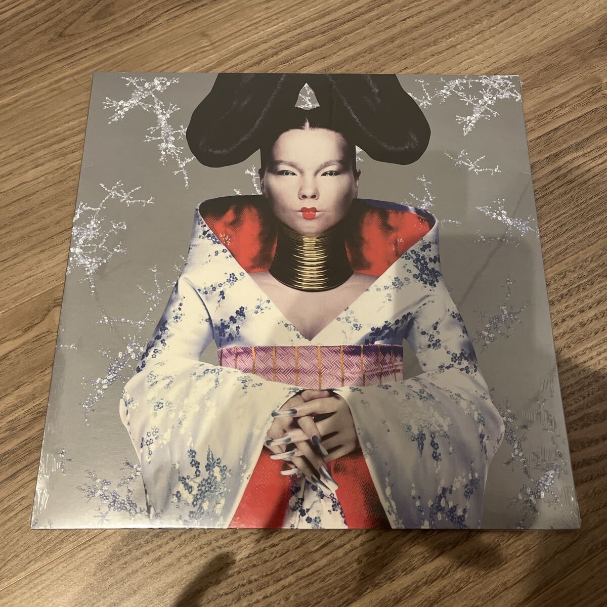 新品】☆Bjrk/ビョーク/ホモジェニック/Homogenic/ポスター/レア!の