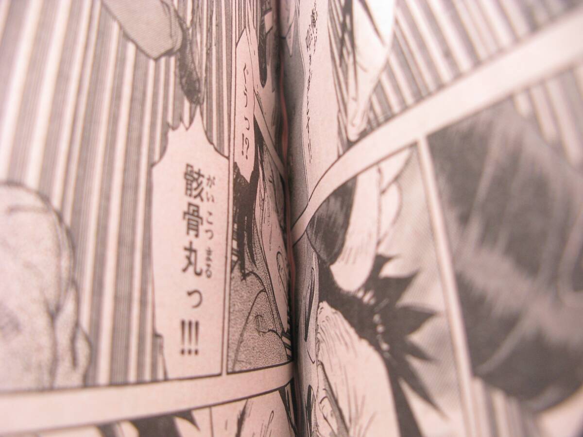 内藤泰弘の世界展 公式アートブック トライガン 血界戦線 TRIGUN 画集