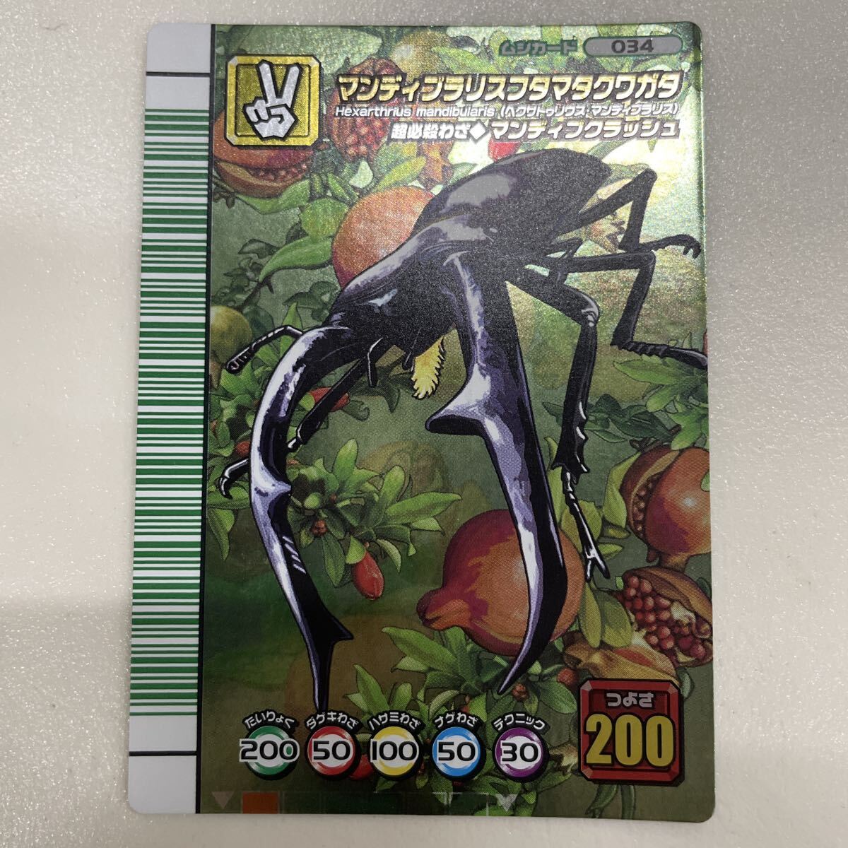 ◎中古品◎『マンディブラリスフタマタクワガタ 金レア』 034