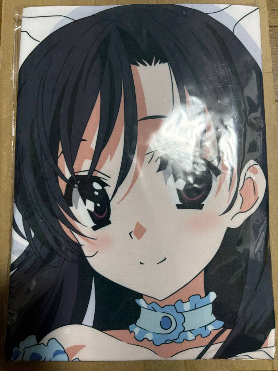 即決! 送料込み! ☆ School Days スクールデイズ 設定資料集 & 作監修