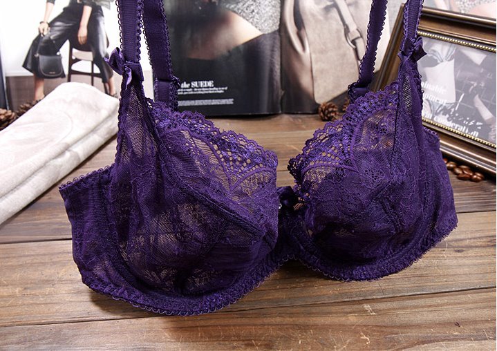 新品 Alegro ヨーロッパ人気ブランド 素敵な 花柄総レース スケスケ軽やかセクシー フルカップ高級補正ブラジャー パープル D80 の落札情報詳細 ヤフオク落札価格情報 オークフリー スマートフォン版