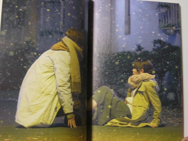 植物図鑑 運命の恋 ひろいました オフィシャルブック 帯付 岩田剛典 高畑充希 の落札情報詳細 ヤフオク落札価格情報 オークフリー スマートフォン版