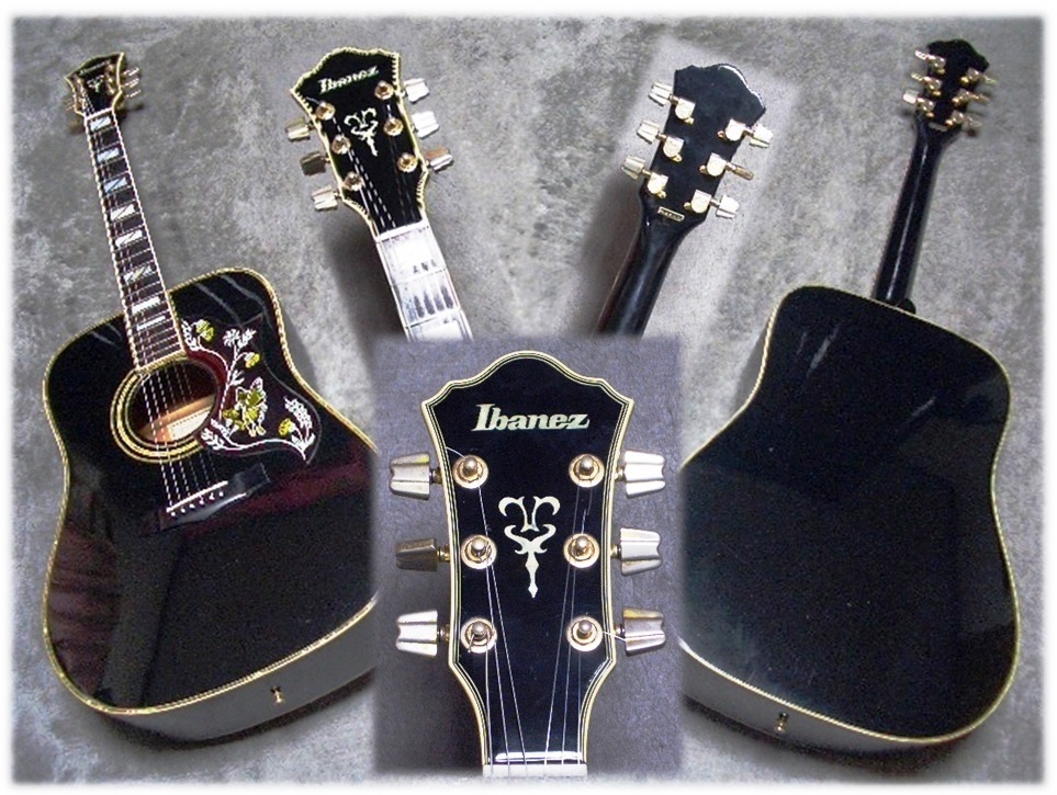 Ibanez アコースティックギター F-360BK