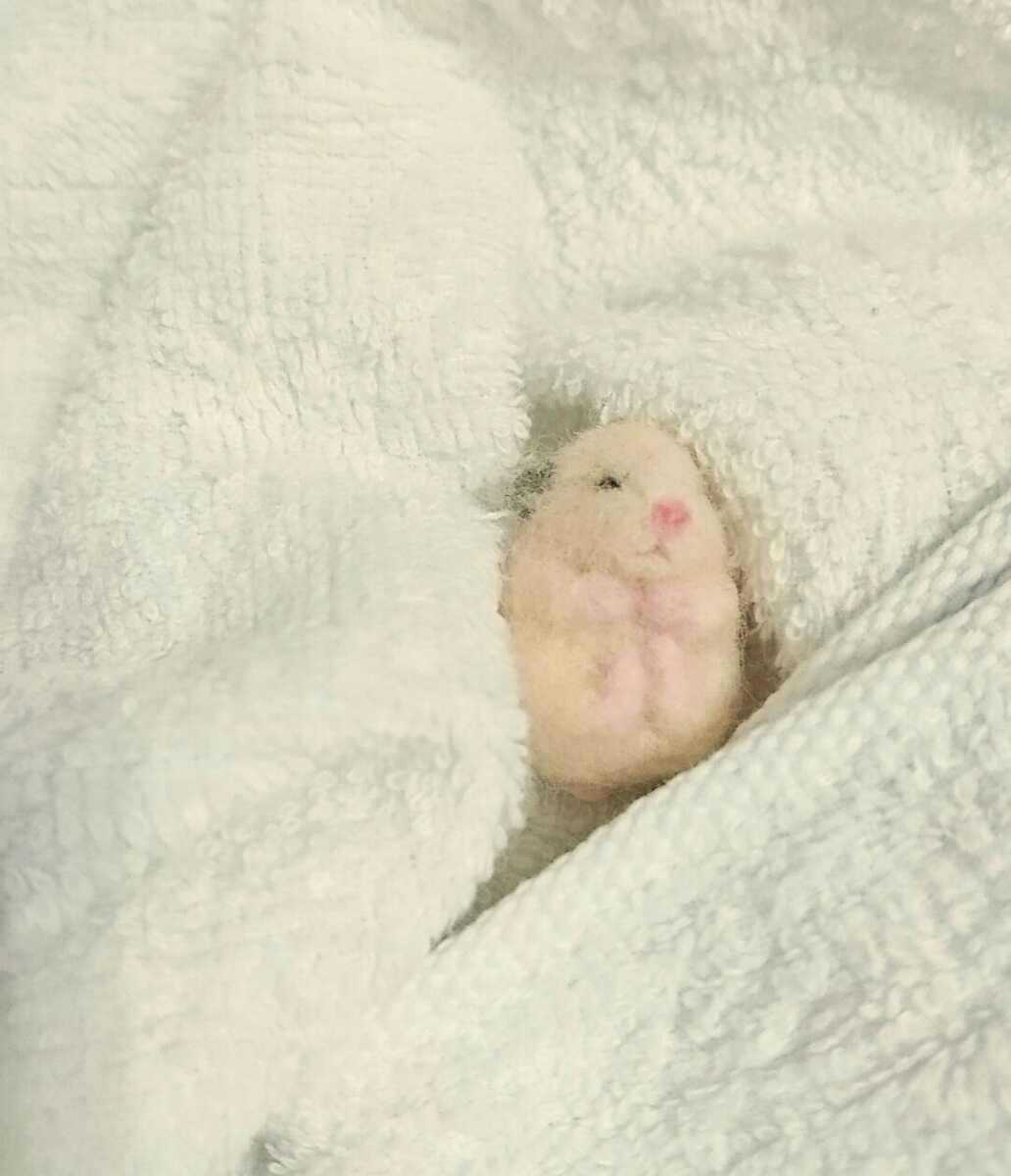 羊毛フェルト　すやすや眠るキンクマ 羊毛フェルト すやすや眠るキンクマ 【公式通販】