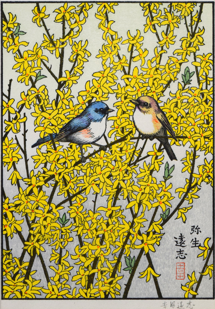 吉田 遠志 「弥生-レンギョウにルリビタキ」 吉田 遠志 「弥生-レンギョウにルリビタキ」 吉田 遠志 「弥生