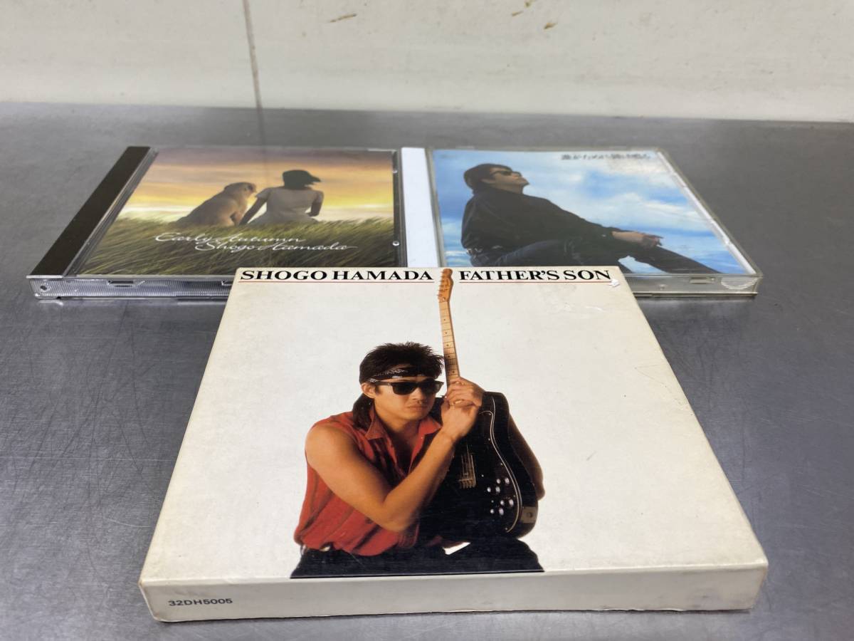 浜田省吾 誰がために鐘は鳴る For Whom The Bell Tolls 歌詞カードなし Early Autumn Father S Son 計3枚セット Cd の落札情報詳細 ヤフオク落札価格情報 オークフリー スマートフォン版