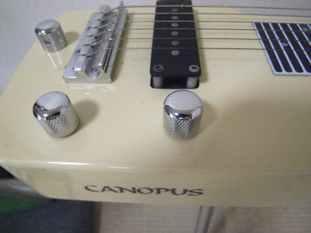 CANOPUS カノウプス8弦Wネックスチールギター スタンド、ケース付