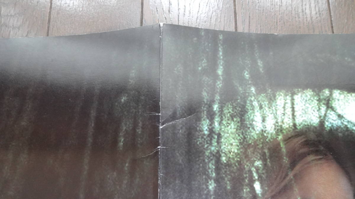 映画 The Juon 呪怨 プレス サラ ミシェル ゲラー ジェイソン ベア ウィリアム メイポーザー クレア デュヴァル の落札情報詳細 ヤフオク落札価格情報 オークフリー スマートフォン版