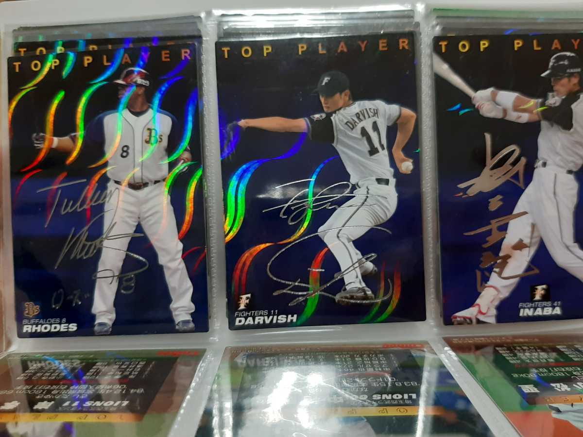 プロ野球チップス 2009 第1段 サインパラレルカード 通販限定カード
