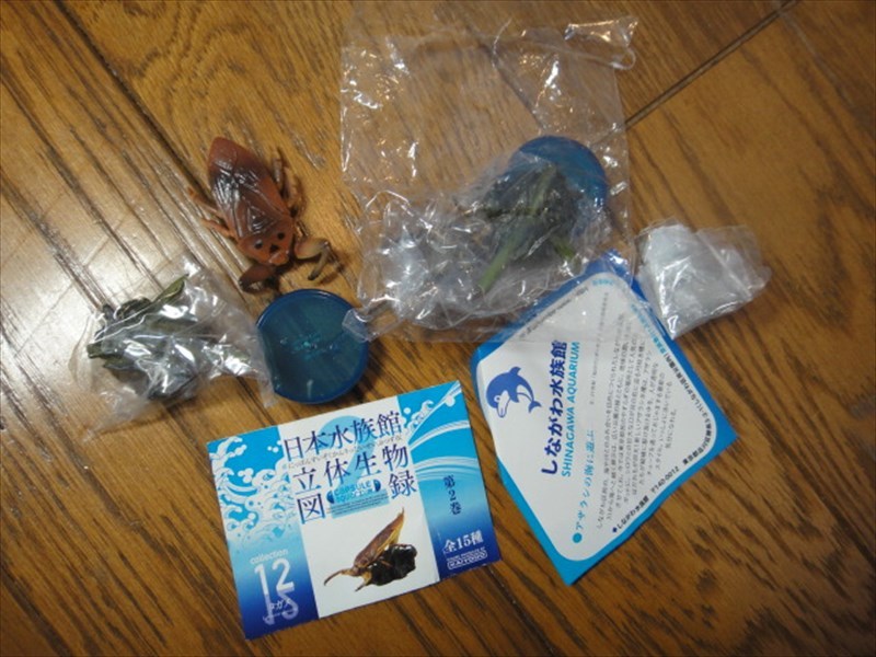 海洋堂 日本水族館立体生物図録 第2弾 15種フルコンプ＋α 新品未