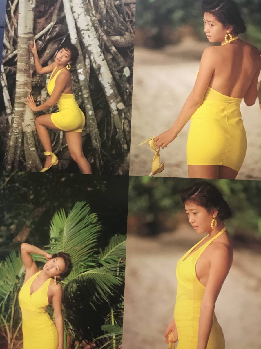 細川ふみえ「HIT & HEAL」CD 未開封 Amazon.co.jp: HIT & HEAL