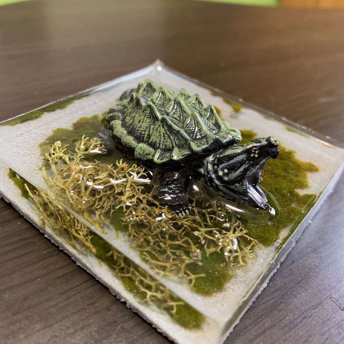 ワニガメ ジオラマ レジンアート の落札情報詳細 ヤフオク落札価格情報 オークフリー スマートフォン版