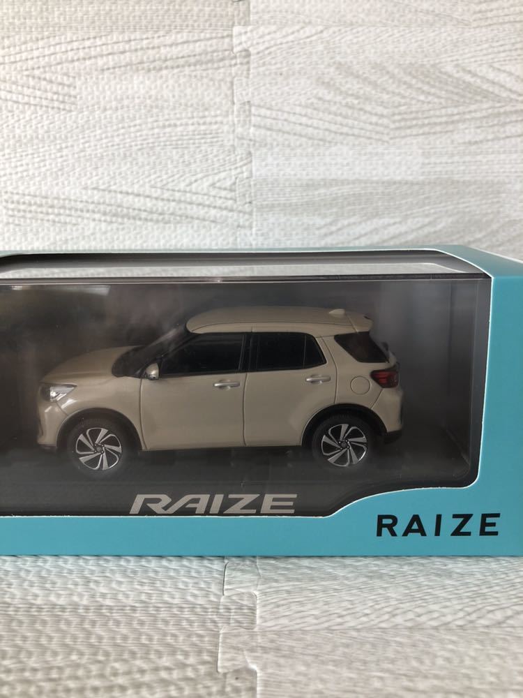    1/30           RAIZE               