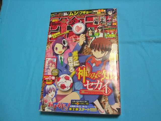 週刊少年サンデー 2011年 47号 2011年11/3 逢沢りな 表紙 サンデー水着