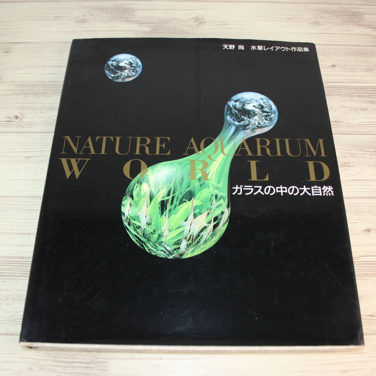 絶版 ガラスの中の大自然 天野尚 水草レイアウト作品集 1992年