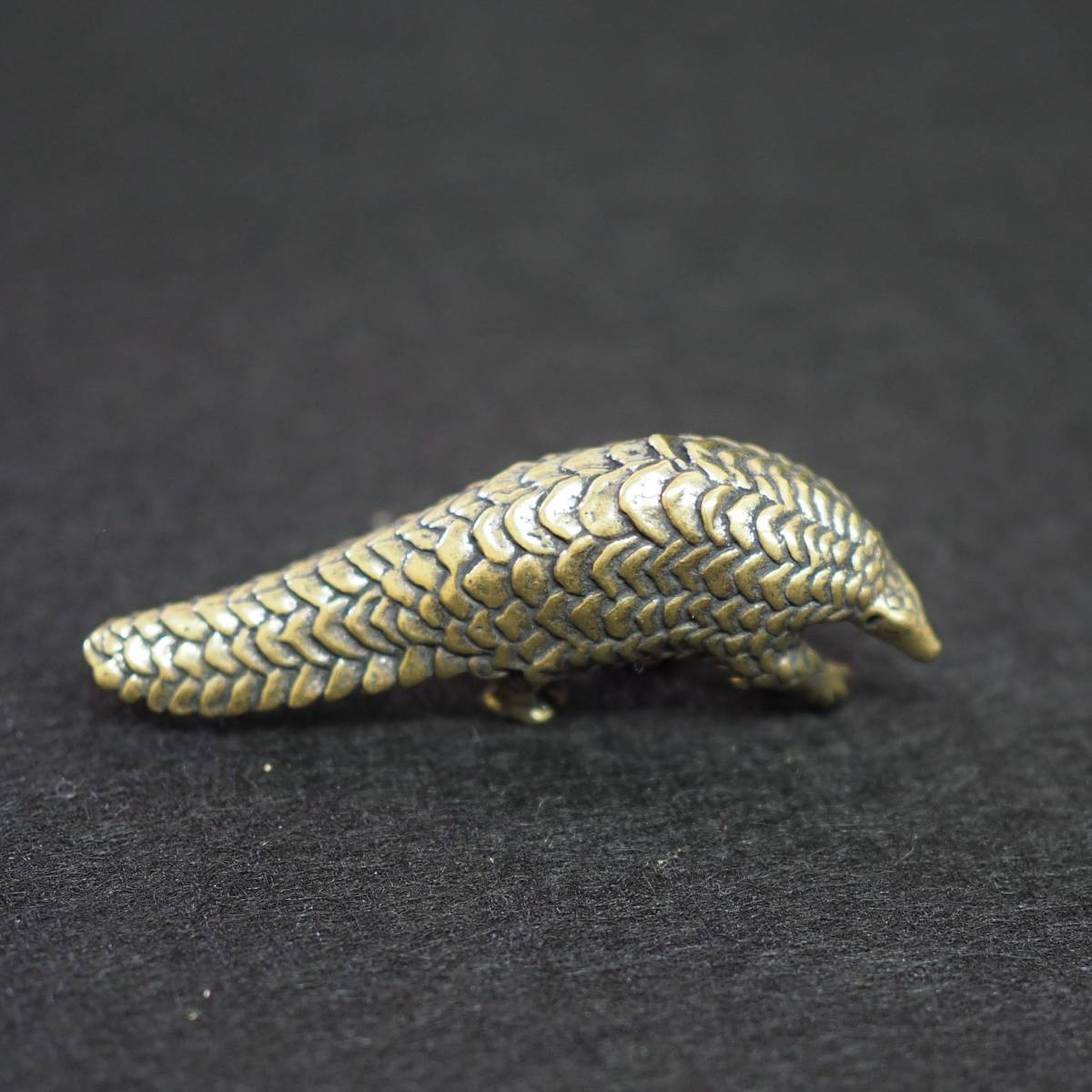 アンティーク☆アルマジロ 剥製☆ 【引き取り限定】