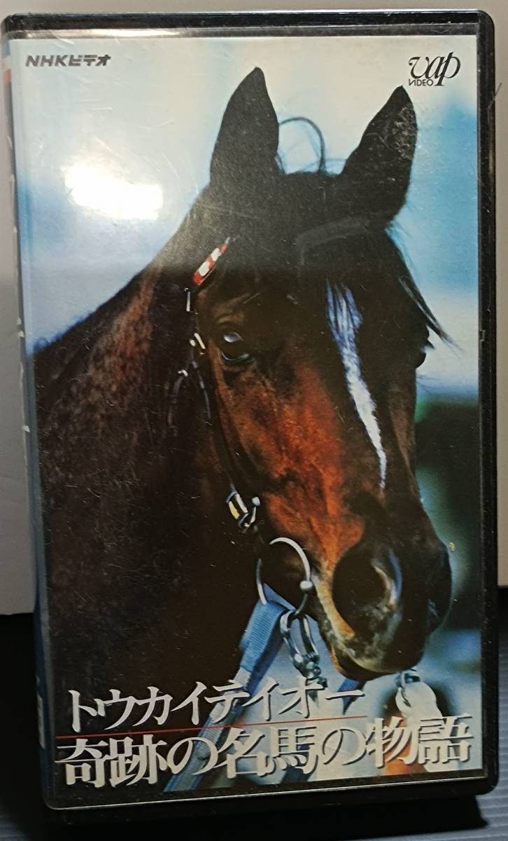 旧カード）サラブレッドカード 95 M-26 ウイニングチケット