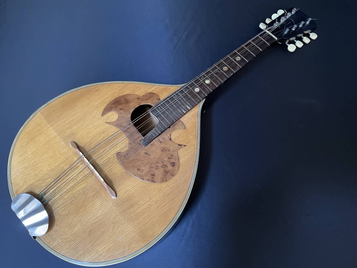 フラットマンドリン KASUGA M-50S ブルーグラス等に