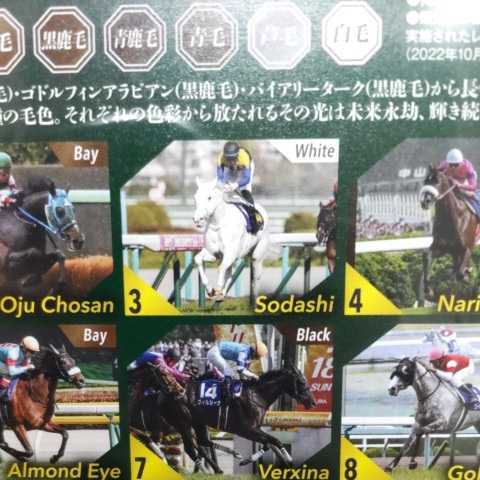 限定品】JRA WINS 2023プレミアム卓上カレンダー「八彩の輝き」