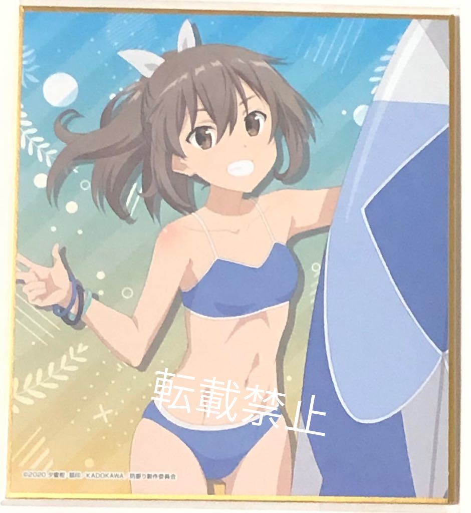 未使用】痛いのは嫌なので防御力に極振りしたいと思います。 WEBくじ D