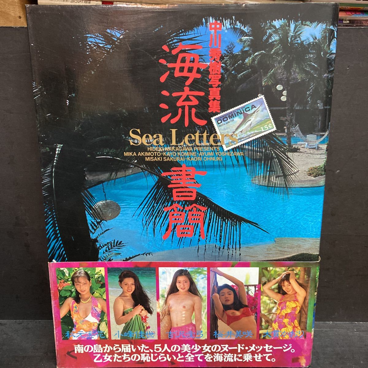 美少女 恥じらいヌード やや傷や汚れあり】中川秀樹ヌード写真集 海流書簡 小峰佳世秋元実花吉沢愛弓桜井美咲大貫かおり 巨乳美乳美尻美女の落札情報詳細 -  Yahoo!オークション落札価格検索 オークフリー