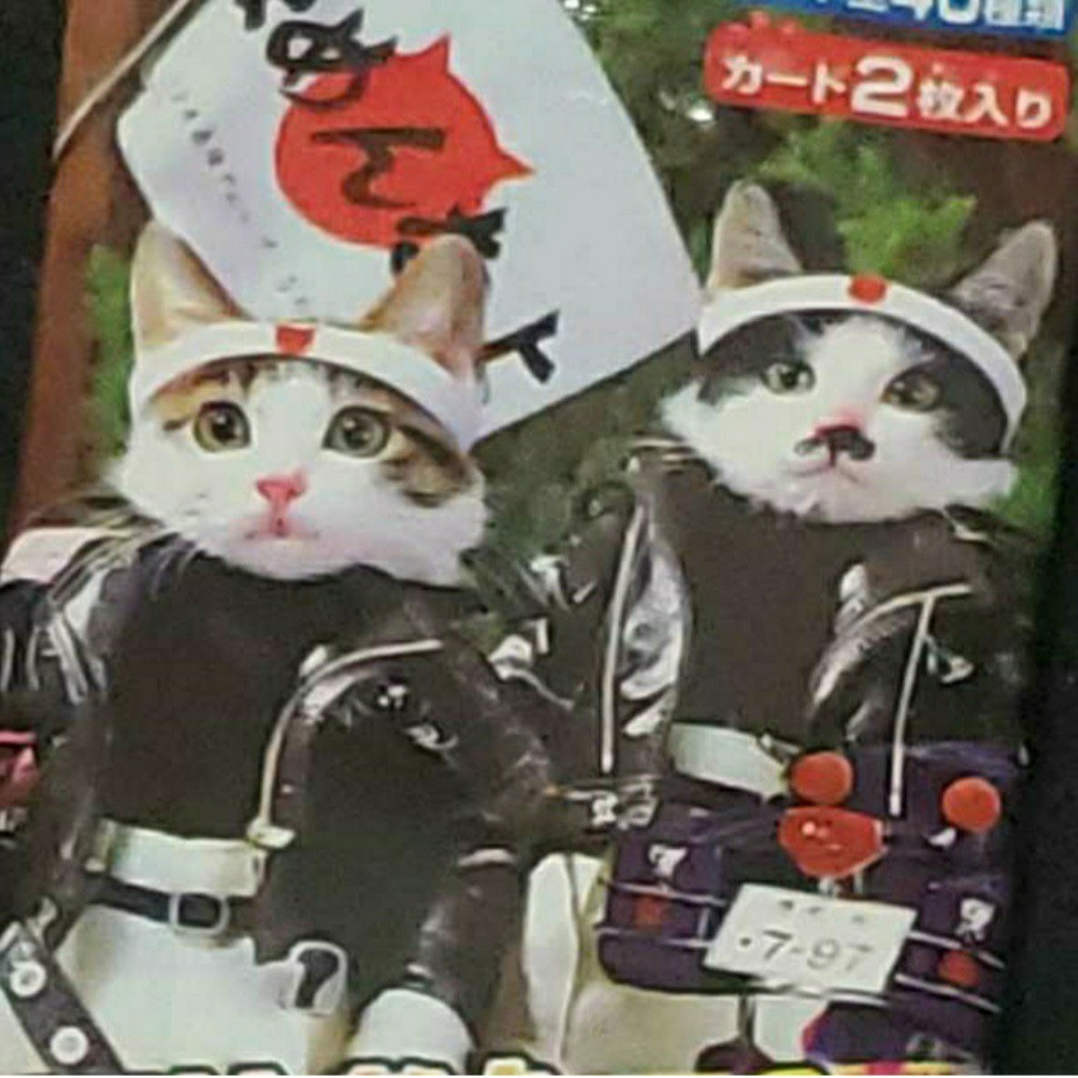 なめ猫カード 2枚 なつかし
