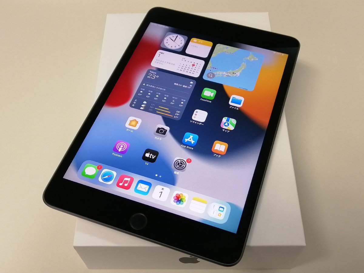 Apple iPad mini (第5世代) スペースグレー 64GB wifi（目立った