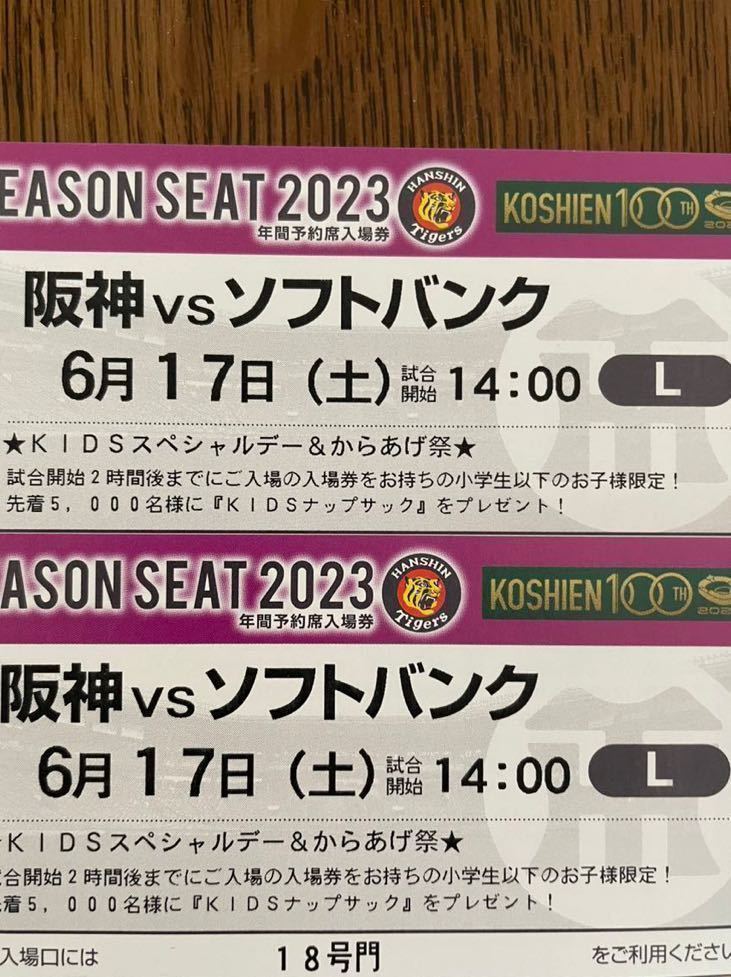 栃木県スタンドSS席1枚 THE ICE 2023 日光公演 のチケット