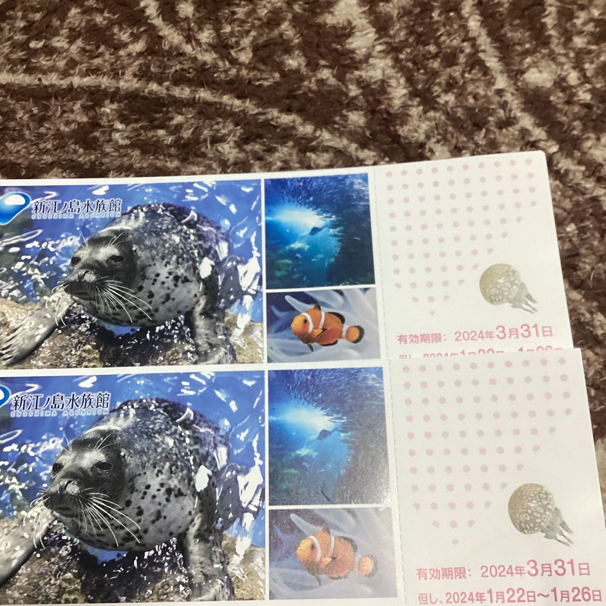 羽生 イオン ロフト えのすい 新江ノ島水族館 くらげ くじ 2等2