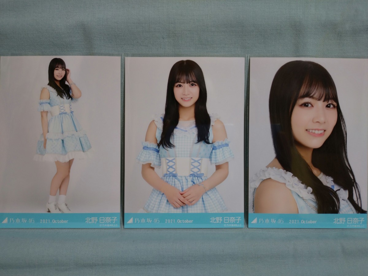 元乃木坂46 北野日奈子 生写真まとめ売り ファイル1冊 北野日奈子