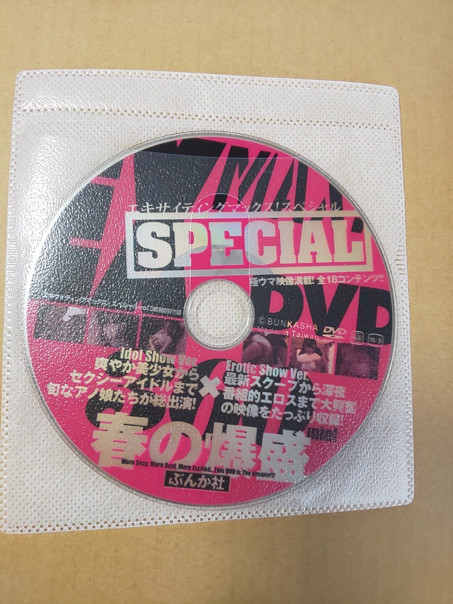 エキサイティングマックス EX MAX 2007 原幹恵 DVD付き