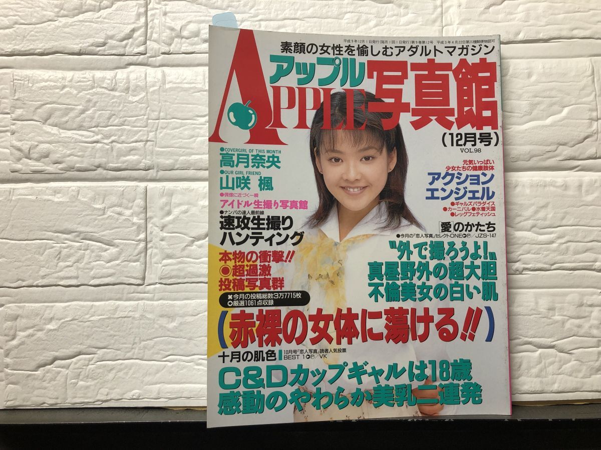 アップル写真館 1993年 5冊セット ハイレグ/ミスコン/アクション