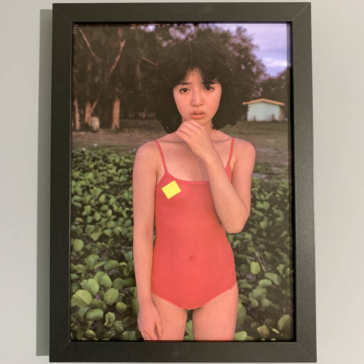 やや傷や汚れあり】□浜田朱里□セクシーグラビア①(ピンナップ付)/B5