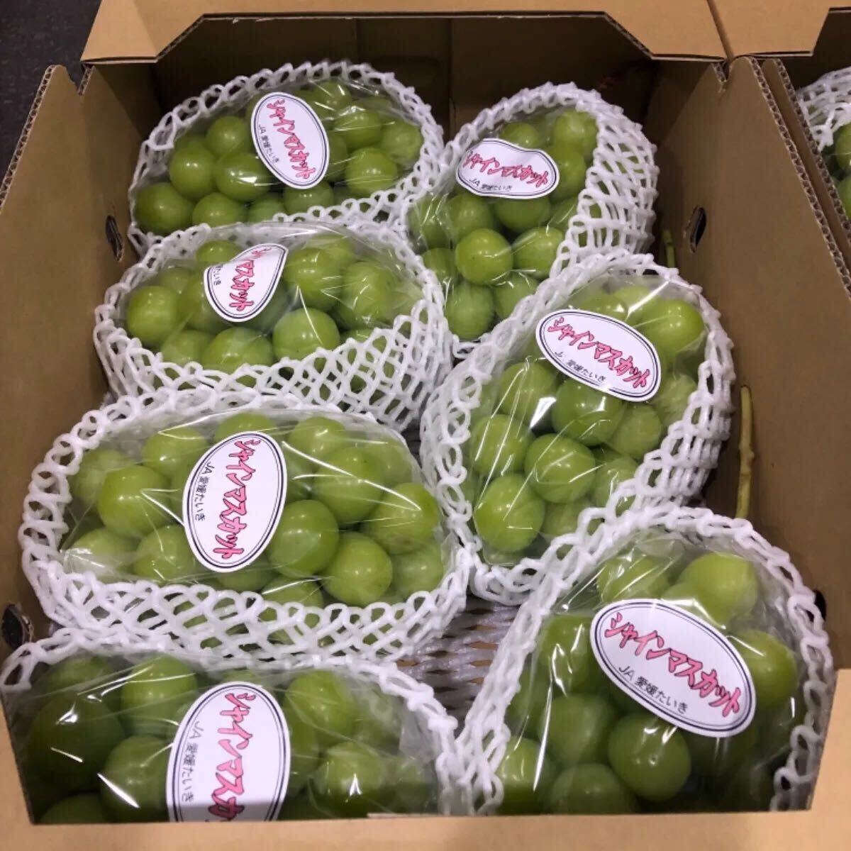 岡山県特産(限定出品)シャインマスカット 5kg 未使用】岡山県 岡山県特産(限定出品)シャインマスカット 5kg 未使用】岡山県