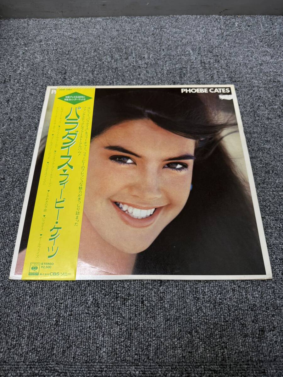 『パラダイス PARADISE』フィービー・ケイツ　欧州版DVD パラダイス PARADISE』フィービー・ケイツ DVD