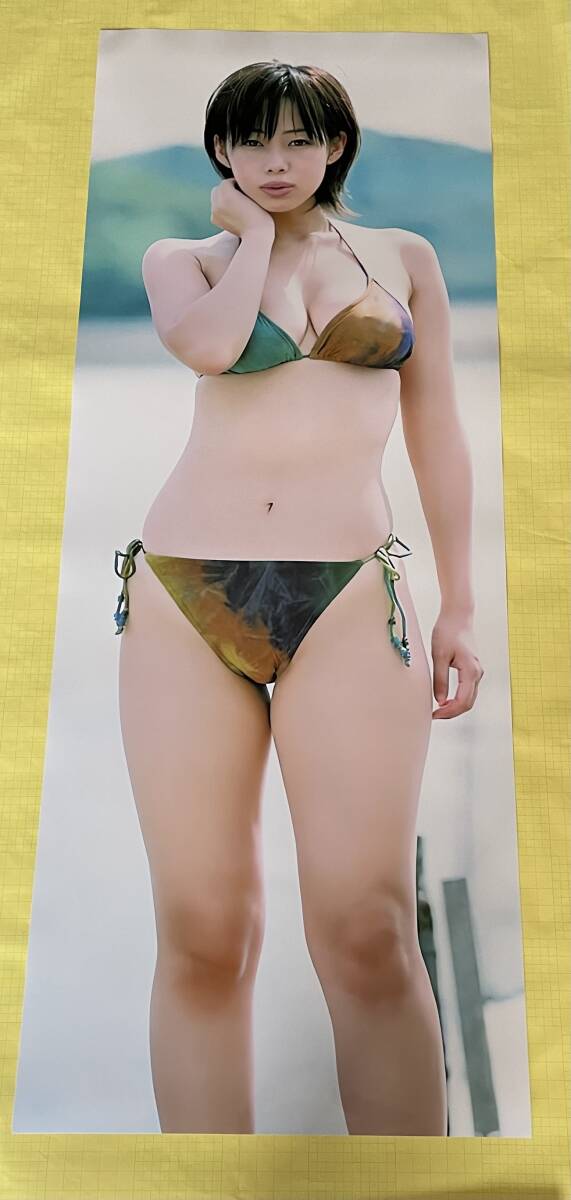 篠崎愛 等身大ポスター 白ビキニで挑発 51KtvZ9949L._UF350,350_QL50_.jpg